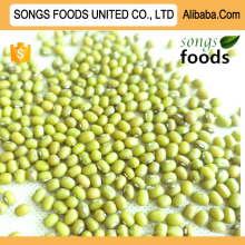 Производитель Direct Green Mung Beans